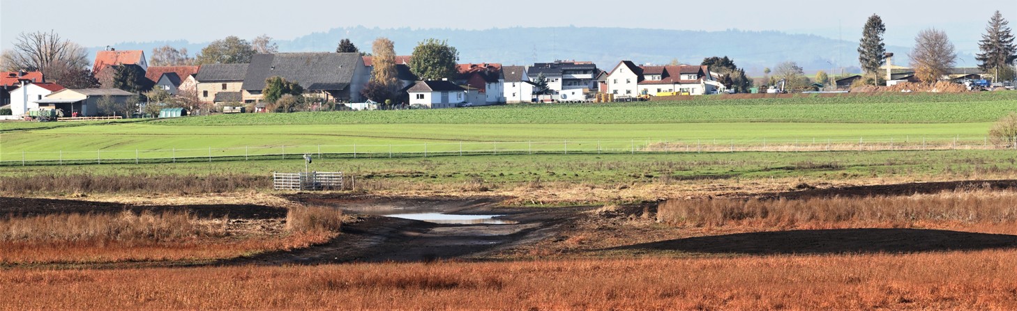 Bingenheimer Ried (Hessen)